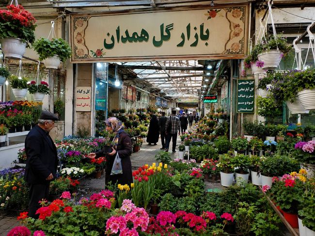 بازار گل همدان + لیست قیمت بازار گل و ساعات کاری 
