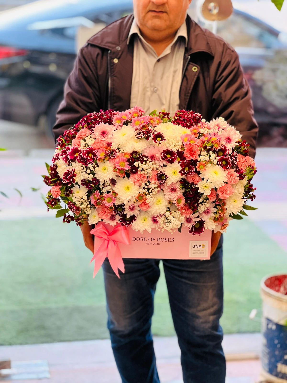 گلدان گل آپارتمانی زاموفیلا در همدان